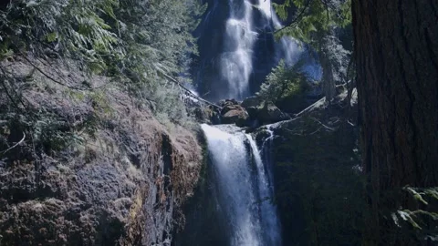 Oregon Forest Stock Footage 200860757