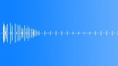 Oregon Forest - Loud Jay and Distant Meadow BirdsSound Effect