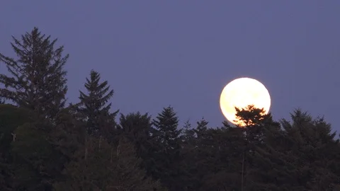 Oregon full moon rises in sky time lapse Stock Footage 97094017