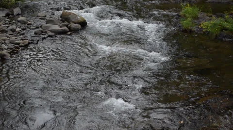 Oregon headwater stream Stock Footage 25878916
