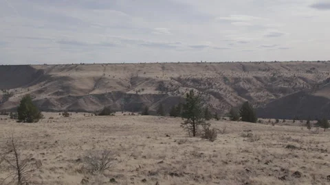 Oregon High Desert With Juniper Trees and Rimrock Plateau Stock Footage 333703065