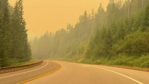 Oregon highway POV drive through wildfire smoke from Grasshopper Fire near 動画素材 342714015