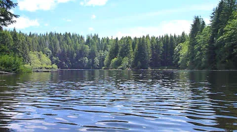 Oregon Lake Scenic Video stock 24994223