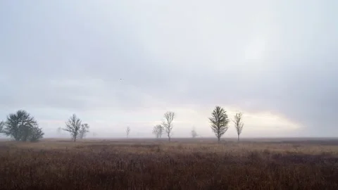 Oregon Landscape Stock-Footage 224833437