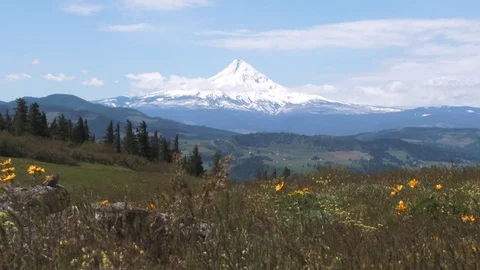 Oregon Landscape With Mt Hood In Springtime Stock Footage 75943297