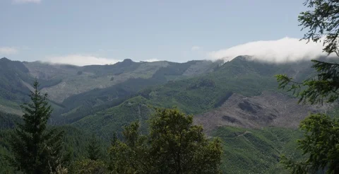 Oregon - Logging in Mountains Clearing - 6K Realtime Stock Footage 113100540