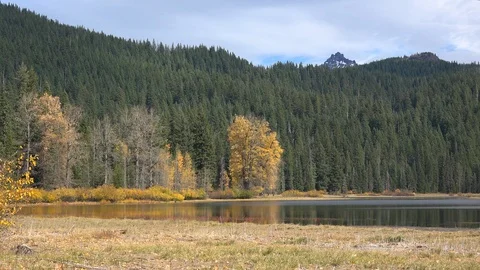 Oregon Lost Lake with fall trees Stock Footage 86268641