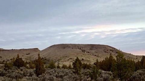 Oregon mesa with vegetation in the high desert with great basin sage brush and Stock Footage 81836385