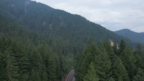 Oregon Mountain Covered in Trees Video stock 216002039