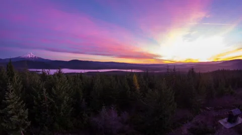 Oregon Mt Hood Forest Stock Footage 56247965
