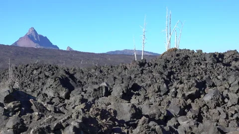 Oregon Mt Washington dead trees and lava pan Stock Footage 133389825