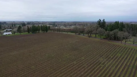 Oregon Overview Silverton Stock Footage 131136046