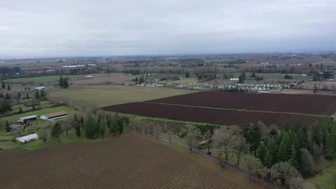 Oregon Overview Silverton Stock Footage 131136092