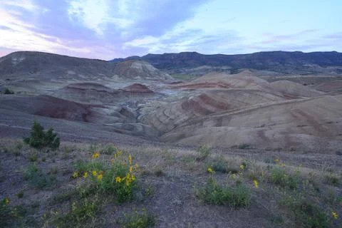 Oregon painted hill Stock Photos
