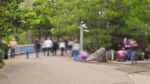 Oregon Park Stock Footage 56261104