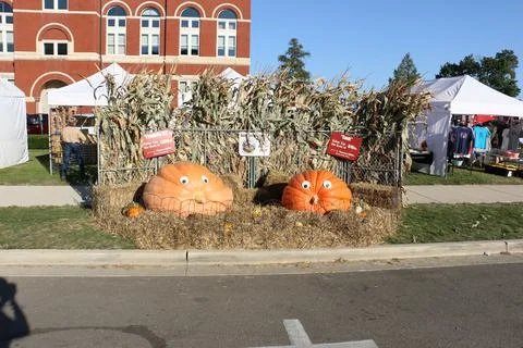 Oregon Pumpkins 2022 (1) Stock Photos