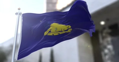 Oregon (reverse) flag waving-seamless-loop-4k-60fps Stock Footage 345328525