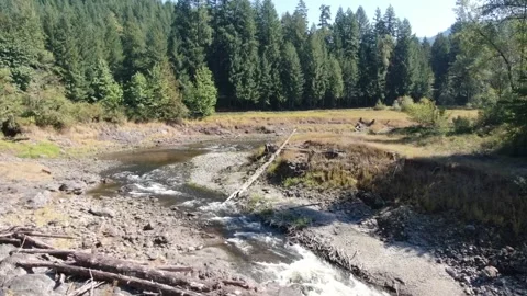Oregon River Drone Footage 動画素材 163317833