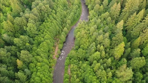 Oregon River Pan: Forest to Sunset Peak (Drone 4K) Stock Footage 271159222