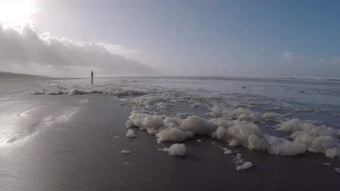Oregon Sea Foam 動画素材 157005075