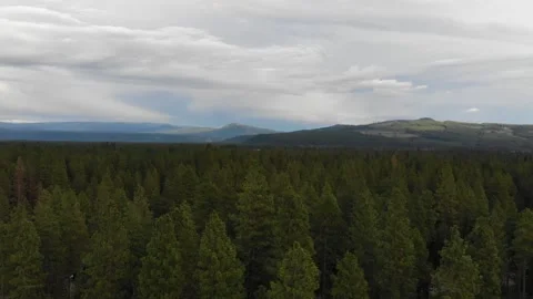 Oregon Skyline 動画素材 149154086