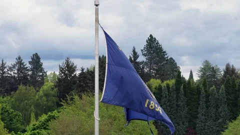Oregon state flag and American flag waving side by side on tall poles, dense Видео 336686800
