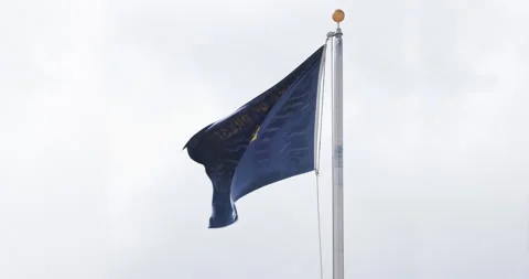 Oregon State Flag Reverse Side Stock Footage 284791461