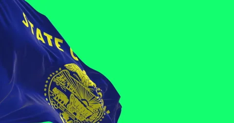 Oregon state flag waving in the wind isolated on green background Video stock 312500004