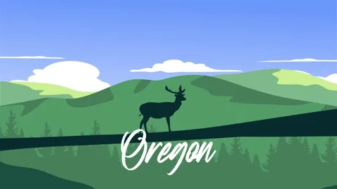 Oregon state with forest and mountain views Stock Footage 297433848