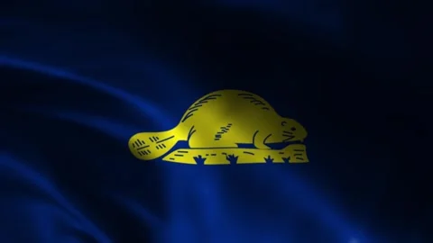 Oregon State Waving Flag. Flag of Oregon Waving Animation. Stock Footage 263839253