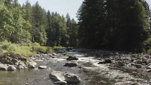 Oregon stream_ pull back with trees Stock Footage 171644793