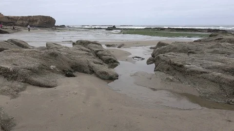 Oregon tide pool view at Marine Gardens Stock Footage 79505452