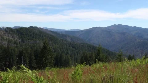 Oregon Time Lapse: Illinois River Trail Video stock 147153159
