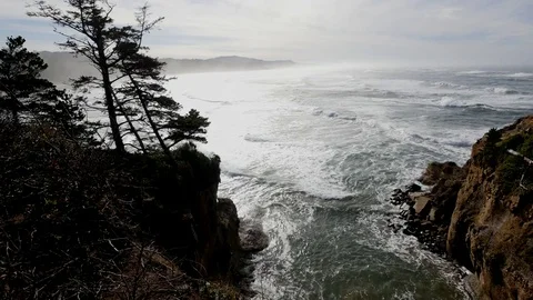 Oregon trees and inlet on coast Stock Footage 80306762