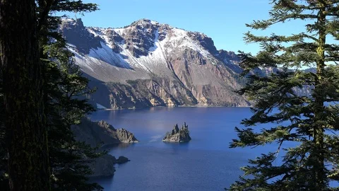 Oregon view between trees of a small rocky island. Stock Footage 95501933