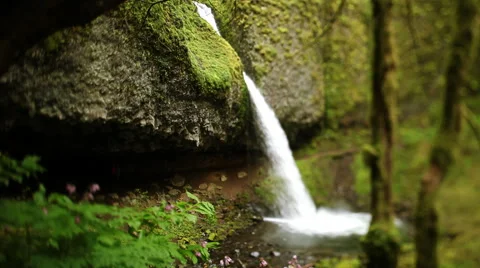 An Oregon waterfall. Stock Footage 60793596