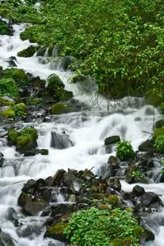 Oregon waterfall Stock Photos