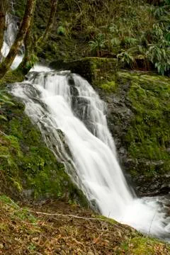 Oregon Waterfall Stock Photos