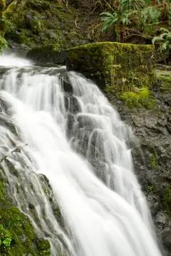 Oregon Waterfall Stock Photos
