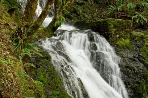 Oregon Waterfall Stock Photos