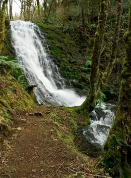 Oregon Waterfall Stock Photos
