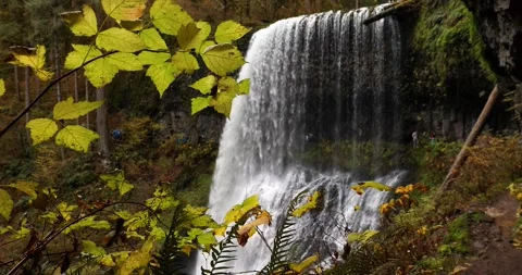 Oregon Waterfall Silverfalls. Stock Footage 144457268