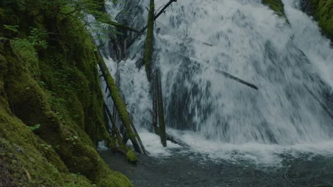 Oregon Waterfall in Spring - Mt Hood National Forest Stock-Footage 232083796