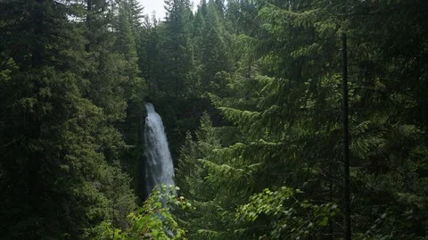 Oregon waterfall timelapse Stock Footage 99052788