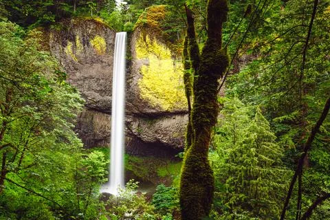 Oregon Waterfalls Corridor Stock-Fotos