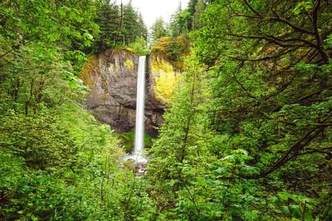 Oregon Waterfalls Corridor Foto stock