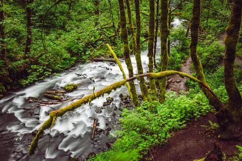Oregon Waterfalls Corridor Stock Photos