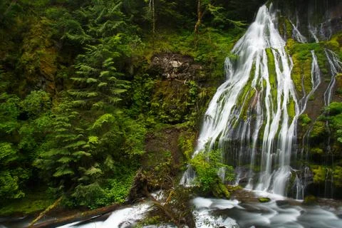 Oregon Waterfalls 스톡 사진