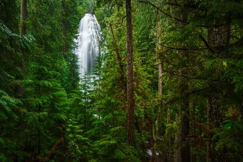 Oregon Waterfalls Stock Photos
