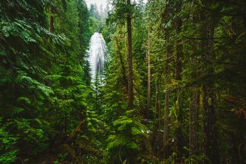 Oregon Waterfalls 스톡 사진